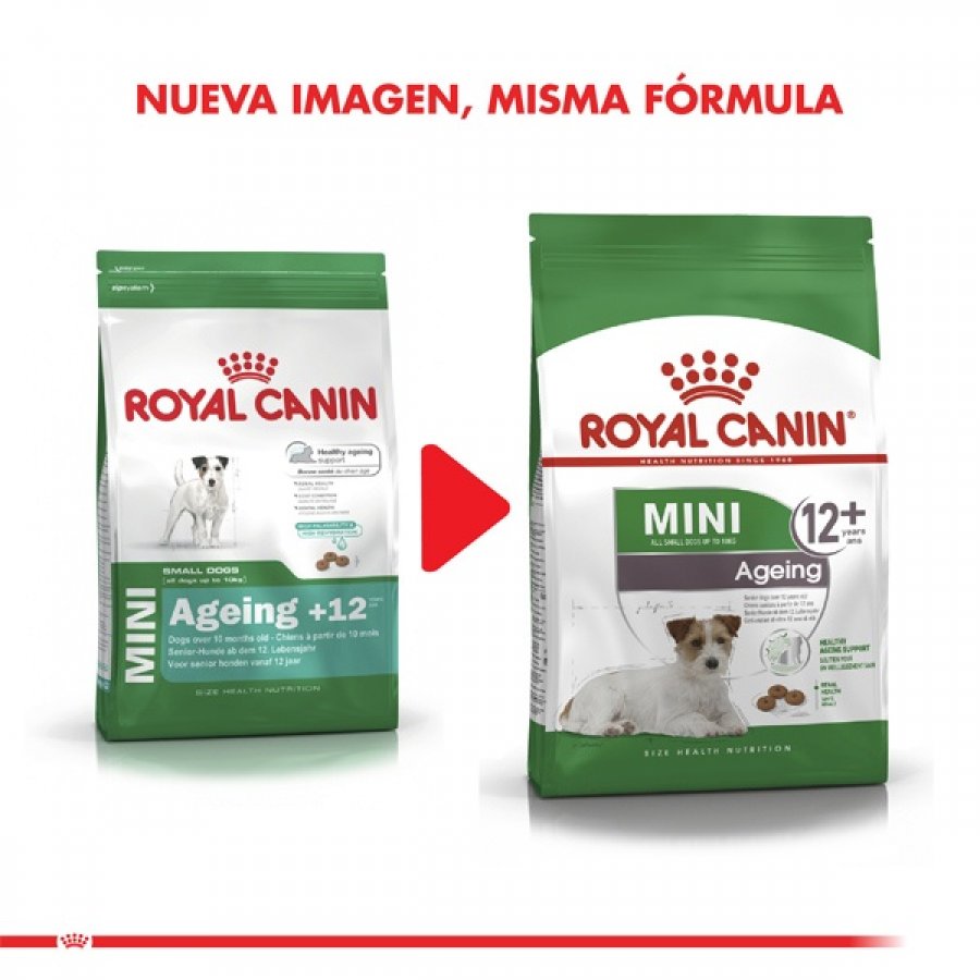 Royal Canin adulto Mini Ageing 12+ alimento para perro, , large image number null