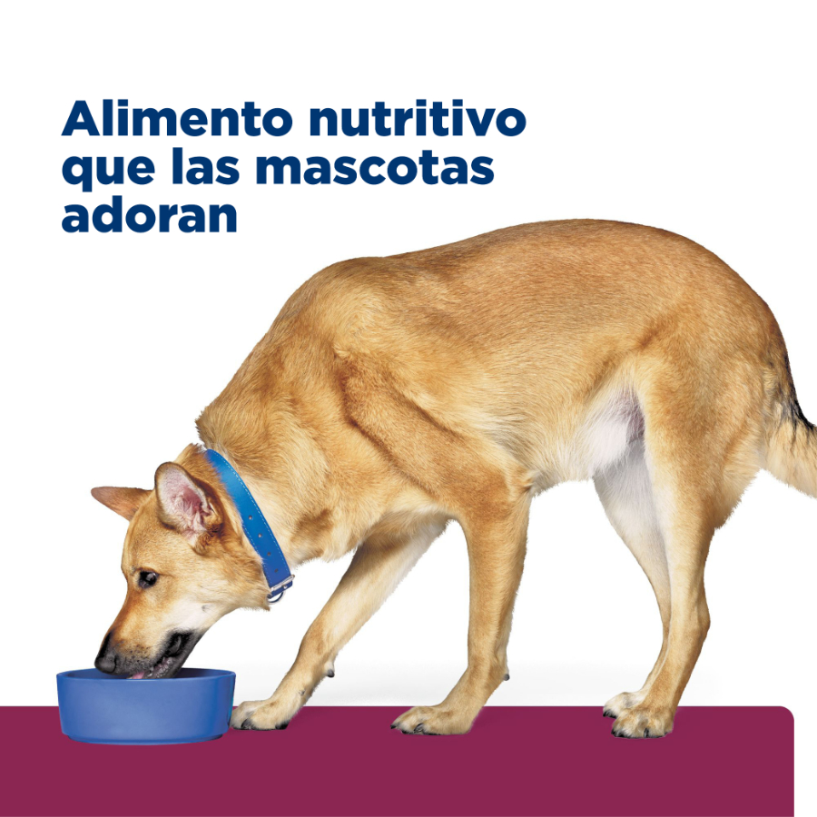 Hills lata canine i/d cuidado digetivo alimento húmedo para perros 370 GR, , large image number null