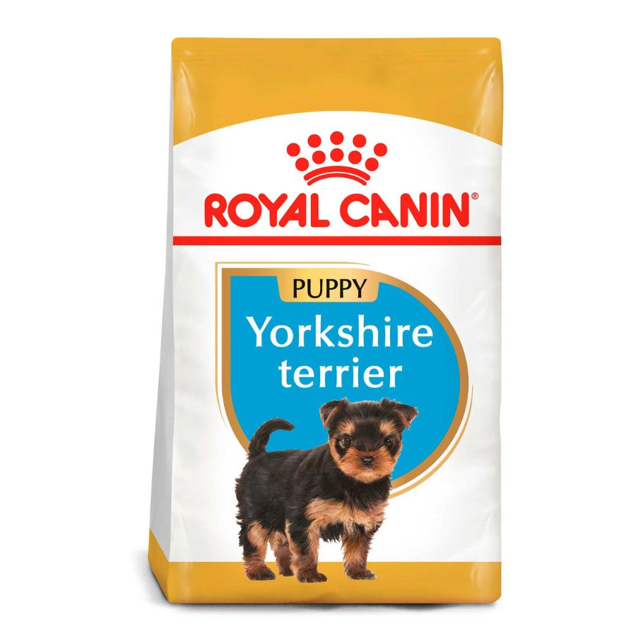 Royal Canin Cachorro Yorkshire Terrier Junior alimento para perro, , large image number null