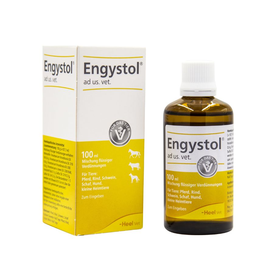Engystol gotas 100 ML, , large image number null
