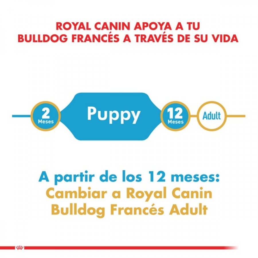 Royal Canin Cachorro Bulldog Frances Puppy alimento para perro, , large image number null