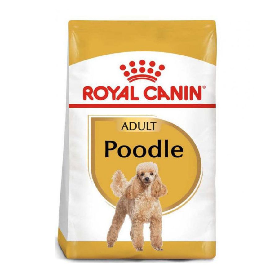 Royal Canin adulto Poodle Adult alimento para perro