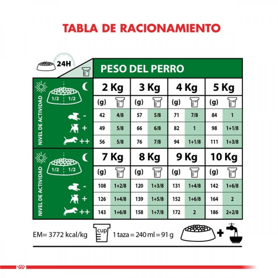 Royal Canin adulto Mini Ageing 12+ alimento para perro, , large image number null