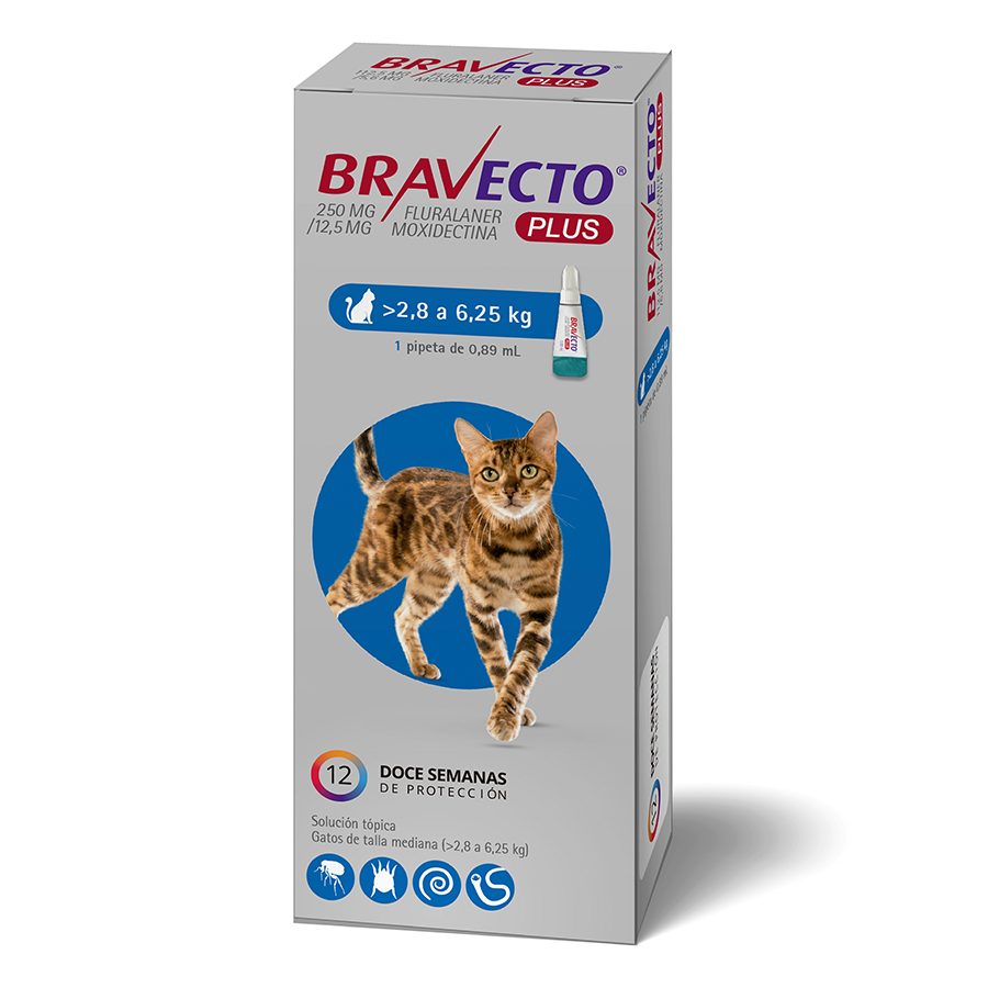 Bravecto Plus de 250 MG para gatos desde 2.8 a 6.25 KG