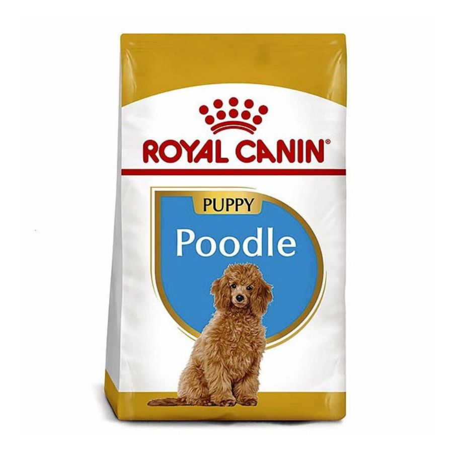 Royal Canin Cachorro Poodle Junior alimento para perro, , large image number null