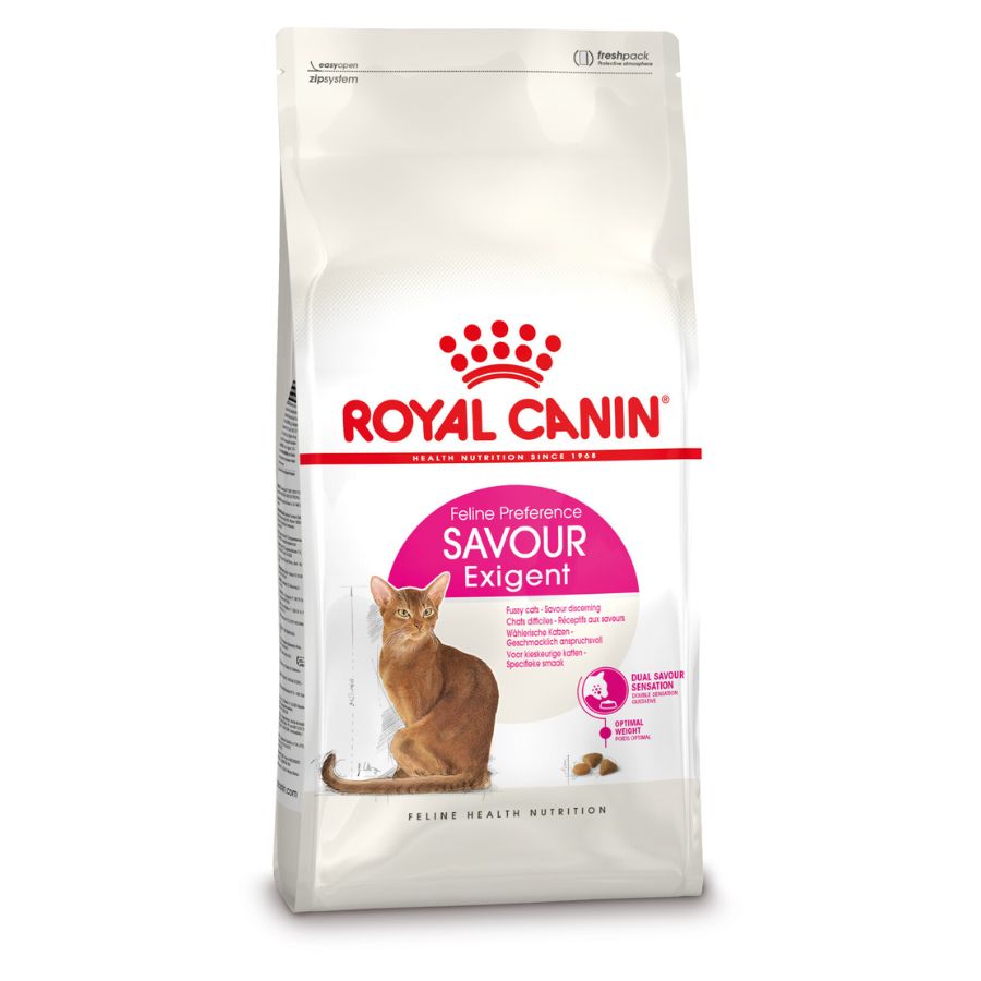 Royal Canin adulto Exigent alimento para gato, , large image number null