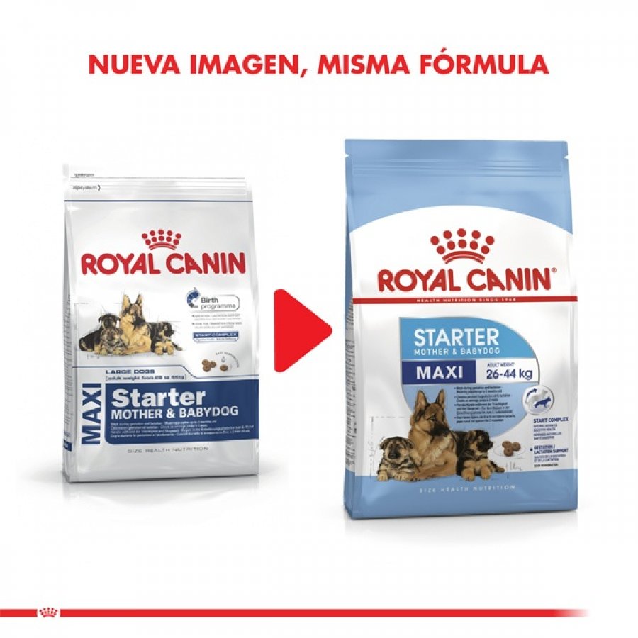 Royal Canin Cachorro Maxi Starter alimento para perro, , large image number null
