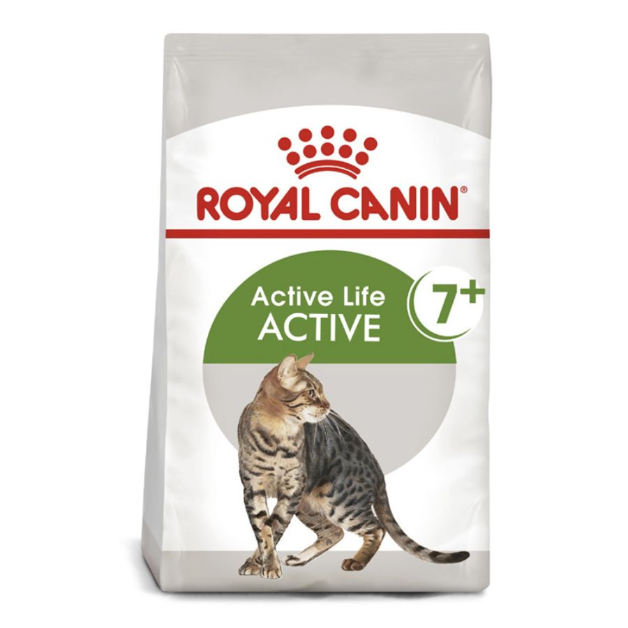Royal Canin adulto Active 7+ alimento para gato, , large image number null