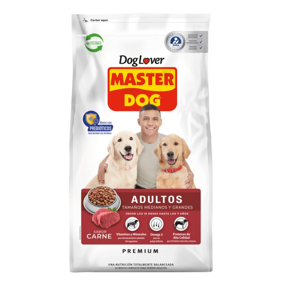 Master dog adulto carne 21 KG