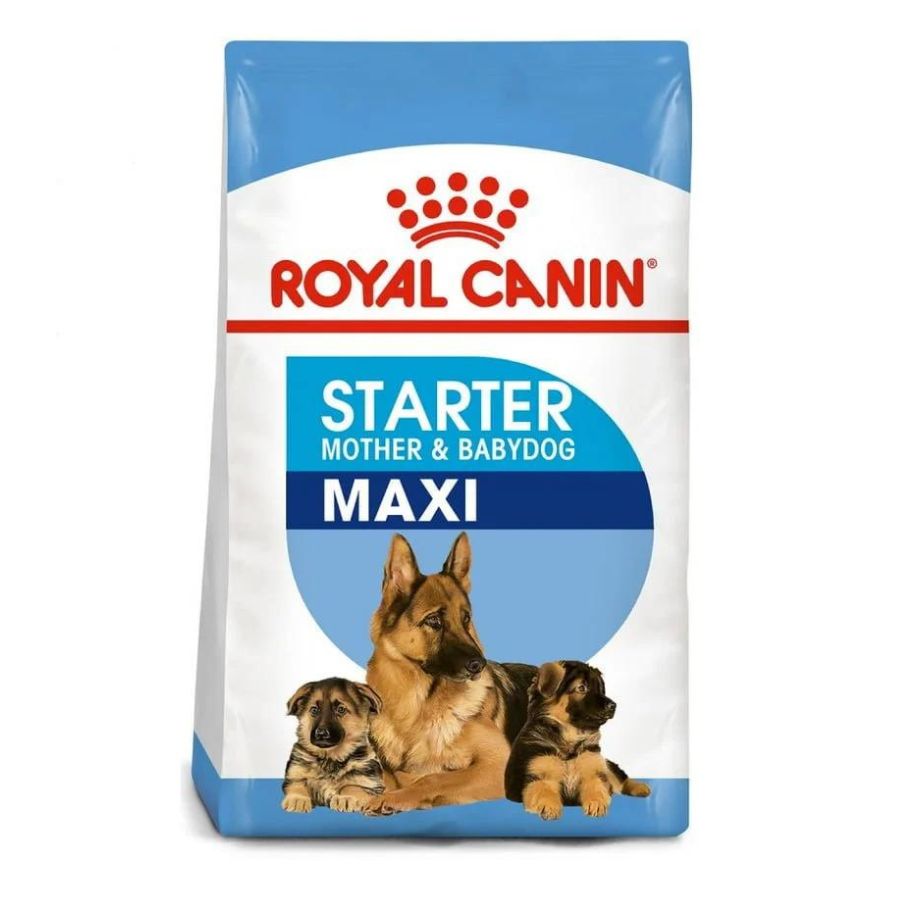 Royal Canin Cachorro Maxi Starter alimento para perro, , large image number null