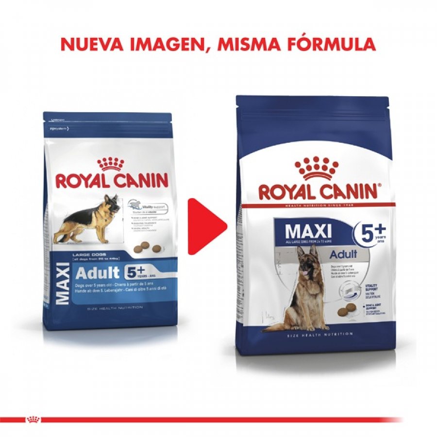 Royal Canin adulto Maxi adulto 5+ alimento para perro, , large image number null